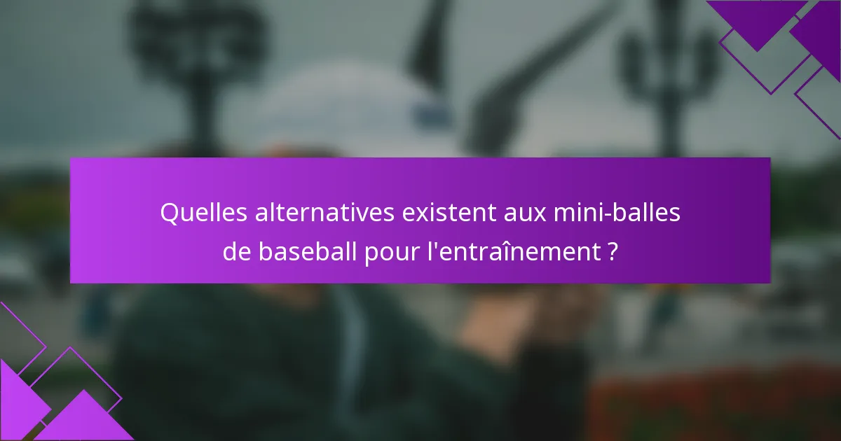Quelles alternatives existent aux mini-balles de baseball pour l'entraînement ?